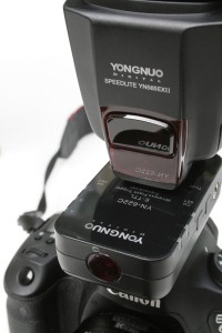 Yong_622_565